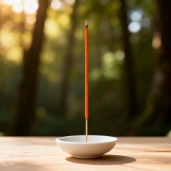 Mosquito Agarbatti Stick Herbal Mosquito Agarbatti  (1 Packet / 10 Sticks) (Incense Stick)