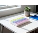 Weekly Pill Case 28-Slot Medicine Organizer