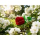 Artificial Rose Flower Shaped Jewelry Ring Box (1 Pc)