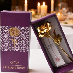Golden Rose & Necklace Set Perfect Gift Set