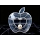 Plastic Apple Shape Jewellery Storage Box (1 Pc)