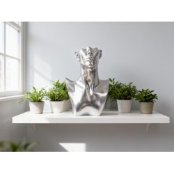 Home Decoration Display Holder Organizer for Woman Shows Home Decor (1 Pc)